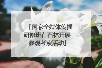 国家全媒体传播研修班在石林开展参观考察活动