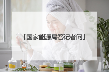 国家能源局答记者问