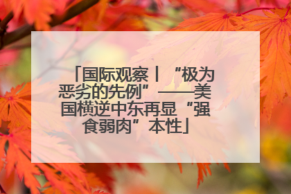 国际观察丨“极为恶劣的先例”——美国横逆中东再显“强食弱肉”本性