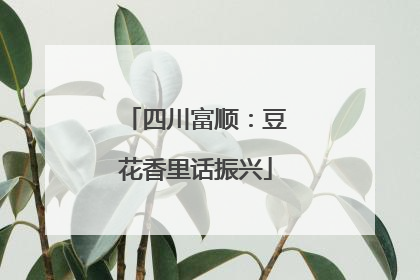 四川富顺：豆花香里话振兴
