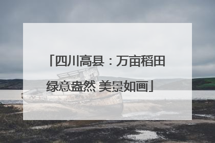 四川高县：万亩稻田绿意盎然 美景如画