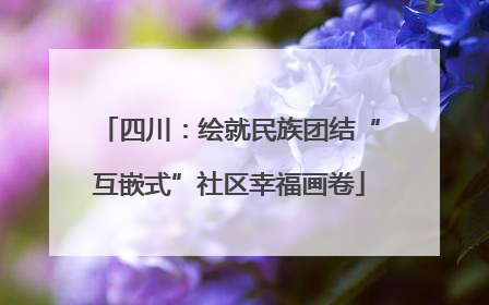 四川：绘就民族团结“互嵌式”社区幸福画卷