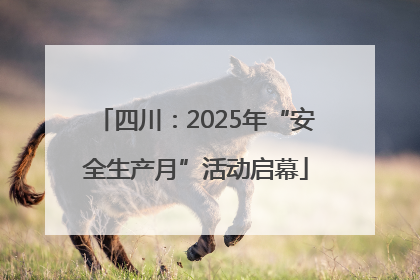 四川：2025年“安全生产月”活动启幕
