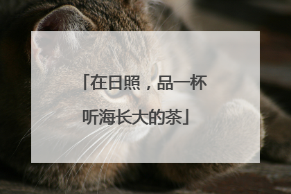 在日照，品一杯听海长大的茶