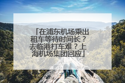 在浦东机场乘出租车等待时间长？去临港打车难？上海机场集团回应