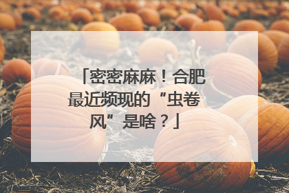 密密麻麻！合肥最近频现的“虫卷风”是啥？