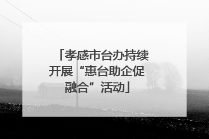 孝感市台办持续开展“惠台助企促融合”活动