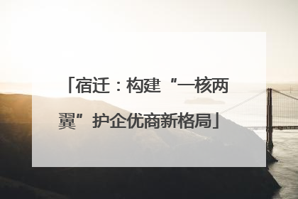 宿迁：构建“一核两翼”护企优商新格局
