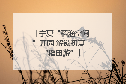 宁夏“稻渔空间”开园 解锁初夏“稻田游”