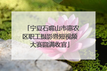 宁夏石嘴山市惠农区职工摄影暨短视频大赛圆满收官