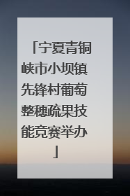宁夏青铜峡市小坝镇先锋村葡萄整穗疏果技能竞赛举办