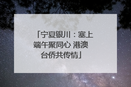 宁夏银川：塞上端午聚同心 港澳台侨共传情