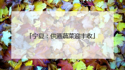 宁夏：供港蔬菜迎丰收