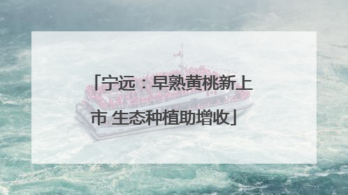 宁远：早熟黄桃新上市 生态种植助增收