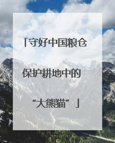 守好中国粮仓 保护耕地中的“大熊猫”