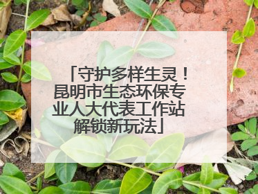 守护多样生灵！昆明市生态环保专业人大代表工作站解锁新玩法