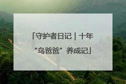守护者日记｜十年“鸟爸爸”养成记