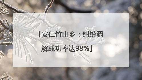 安仁竹山乡：纠纷调解成功率达98%