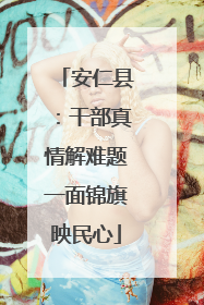 安仁县：干部真情解难题一面锦旗映民心
