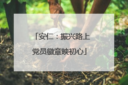 安仁：振兴路上 党员徽章映初心
