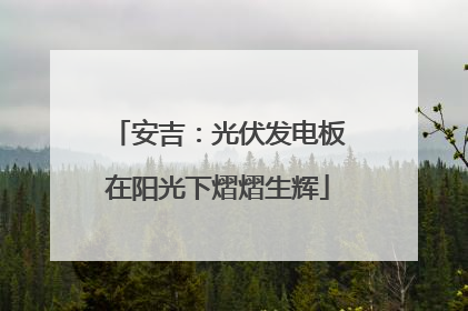安吉：光伏发电板在阳光下熠熠生辉