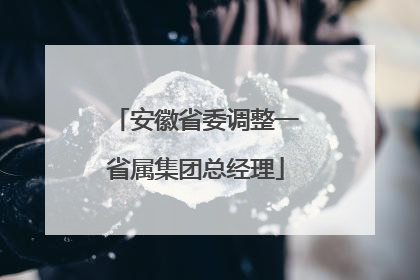 安徽省委调整一省属集团总经理