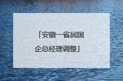 安徽一省属国企总经理调整