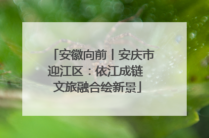 安徽向前丨安庆市迎江区：依江成链 文旅融合绘新景