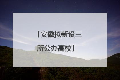 安徽拟新设三所公办高校