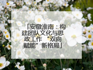 安徽淮南：构建团队文化与思政工作 “双向赋能”新格局