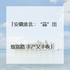 安徽淮北：“蒜”出致富路 丰产又丰收