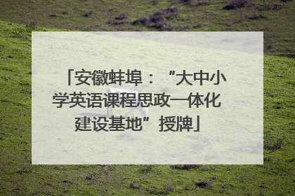 安徽蚌埠：“大中小学英语课程思政一体化建设基地”授牌