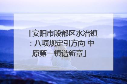 安阳市殷都区水冶镇：八项规定引方向 中原第一镇谱新章