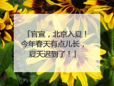 官宣，北京入夏！今年春天有点儿长，夏天迟到了！
