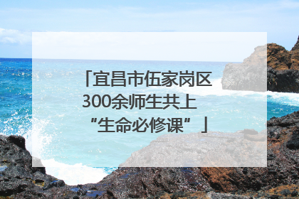 宜昌市伍家岗区300余师生共上“生命必修课”