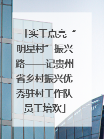 实干点亮“明星村”振兴路——记贵州省乡村振兴优秀驻村工作队员王培欢