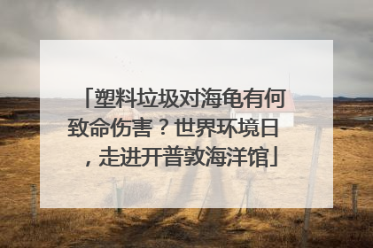 塑料垃圾对海龟有何致命伤害？世界环境日，走进开普敦海洋馆