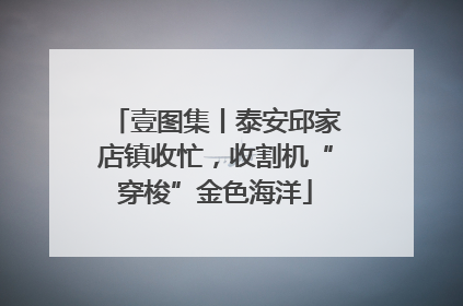 壹图集丨泰安邱家店镇收忙，收割机“穿梭”金色海洋