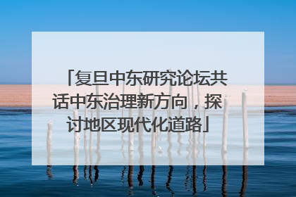 复旦中东研究论坛共话中东治理新方向，探讨地区现代化道路