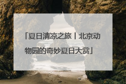 夏日清凉之旅丨北京动物园的奇妙夏日大赏