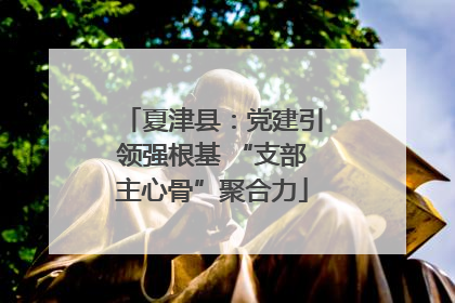 夏津县：党建引领强根基 “支部主心骨”聚合力