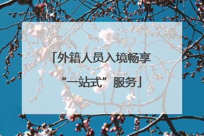 外籍人员入境畅享“一站式”服务