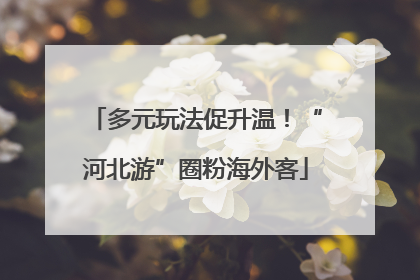 多元玩法促升温！“河北游”圈粉海外客