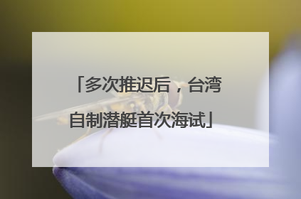 多次推迟后，台湾自制潜艇首次海试
