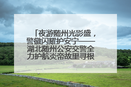 夜游随州光影盛，警徽闪耀护安宁——湖北随州公安交警全力护航炎帝故里寻根节夜游活动侧记