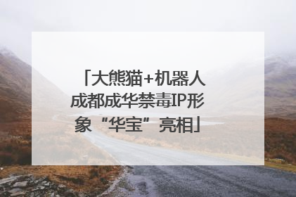 大熊猫+机器人 成都成华禁毒IP形象“华宝”亮相