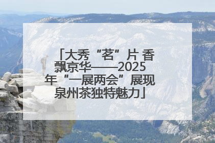 大秀“茗”片 香飘京华——2025年“一展两会”展现泉州茶独特魅力