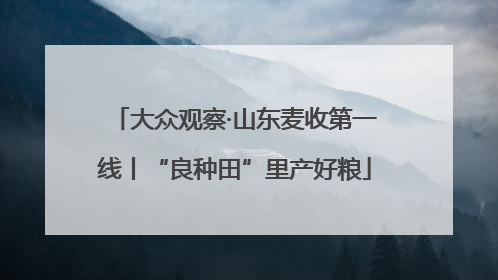 大众观察·山东麦收第一线丨“良种田”里产好粮