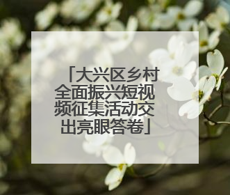 大兴区乡村全面振兴短视频征集活动交出亮眼答卷