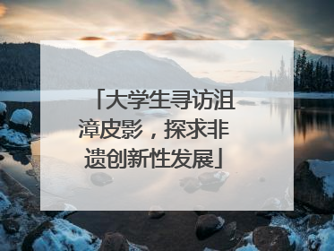 大学生寻访沮漳皮影，探求非遗创新性发展